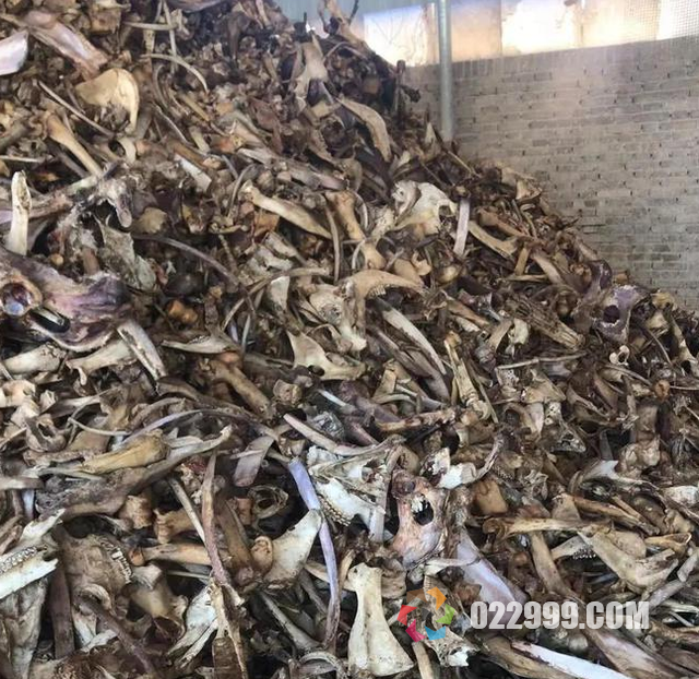 中年失业男人还能做什么工作，推荐几个适合的副业贴补家用